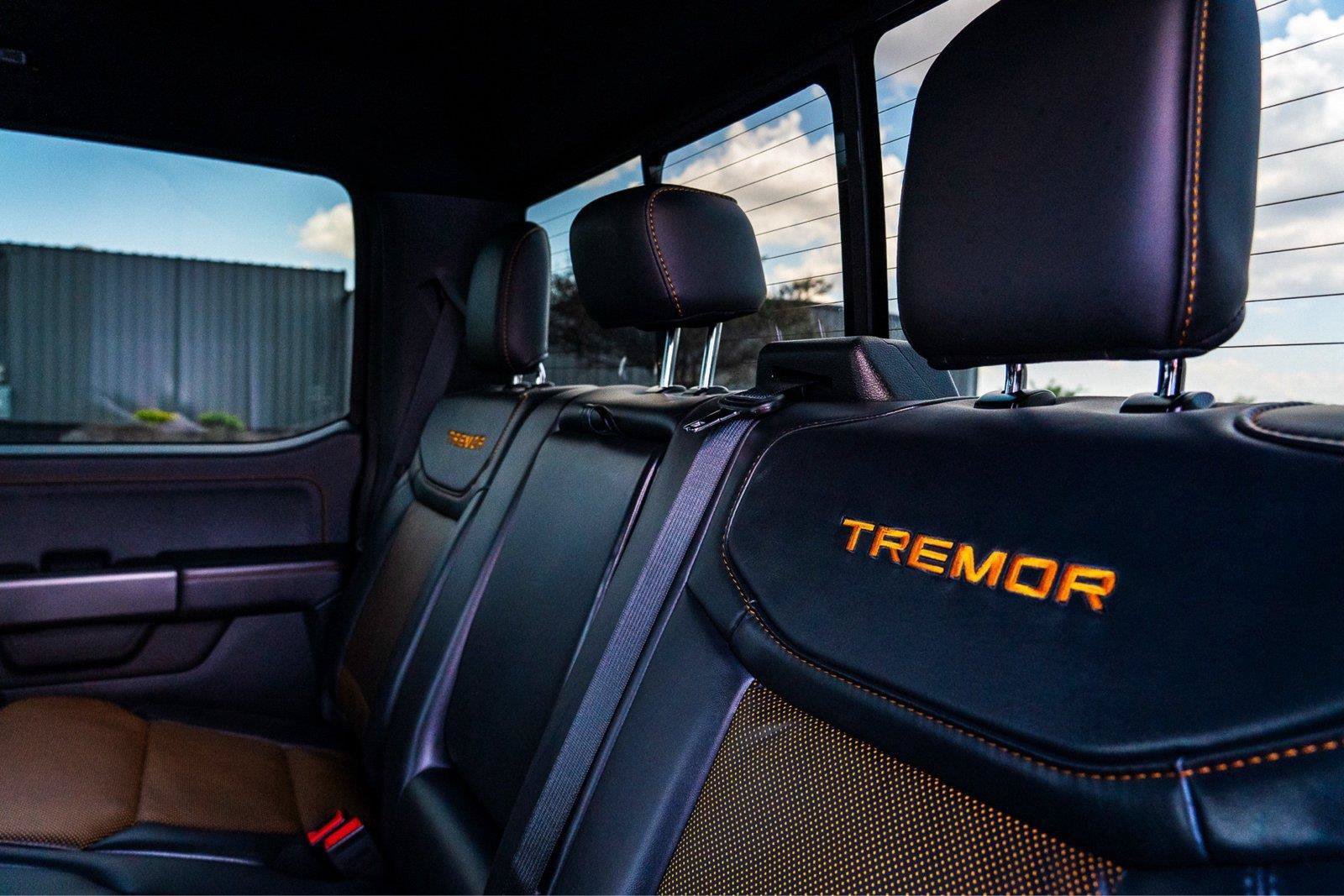 Certified 2025 Ford F150 Tremor w/ Equipment Group 402A High AWD/4WD image 26