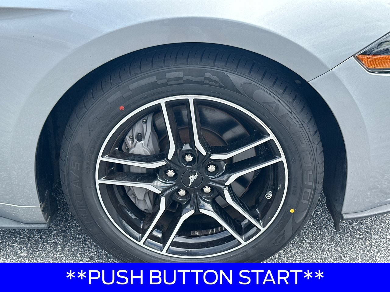 Certified 2021 Ford Mustang GT Premium RWD image 14