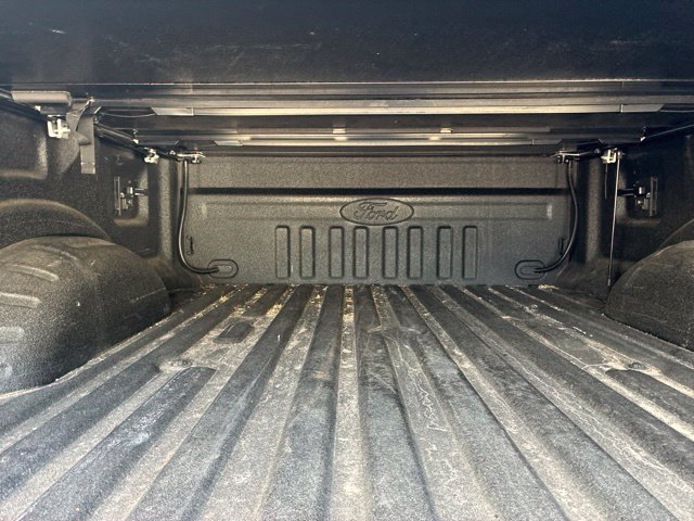 Certified 2022 Ford F250 Platinum w/ Tremor Off-Road Package AWD/4WD image 18