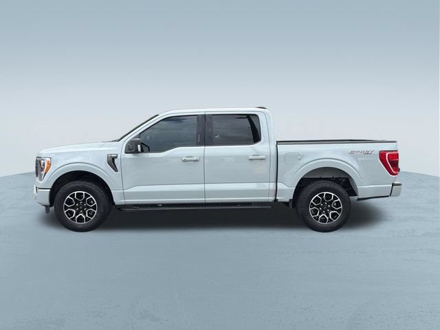 Certified 2023 Ford F150 XLT w/ Equipment Group 302A High AWD/4WD image 8
