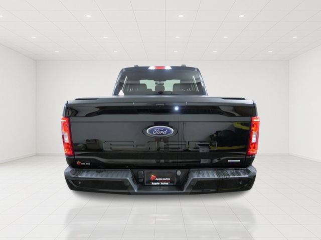 Certified 2023 Ford F150 XLT w/ Equipment Group 302A High AWD/4WD image 5