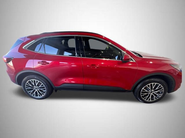 Certified 2025 Ford Escape SE image 6
