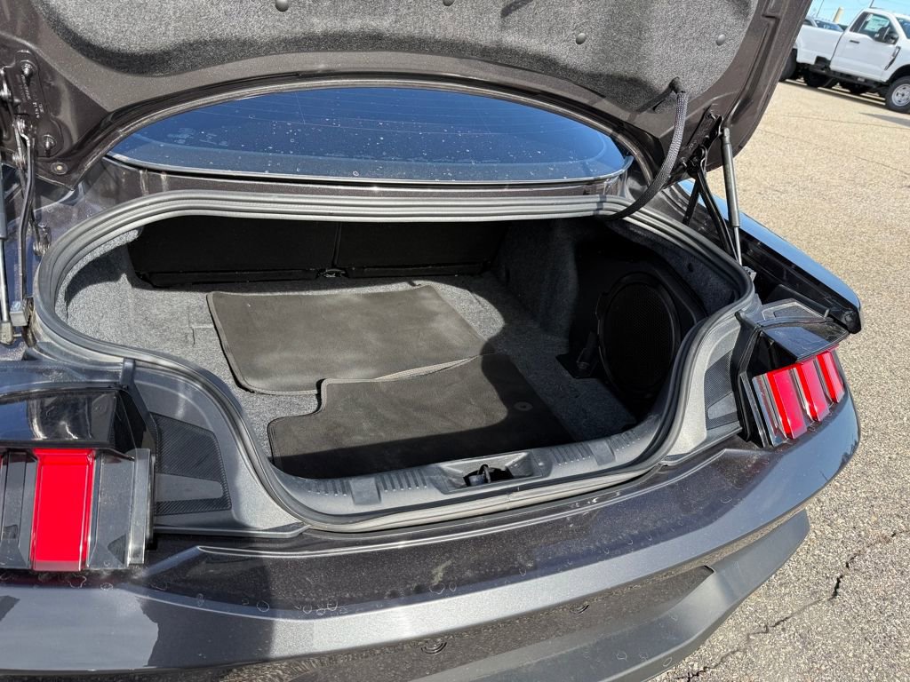 Certified 2024 Ford Mustang Premium image 13