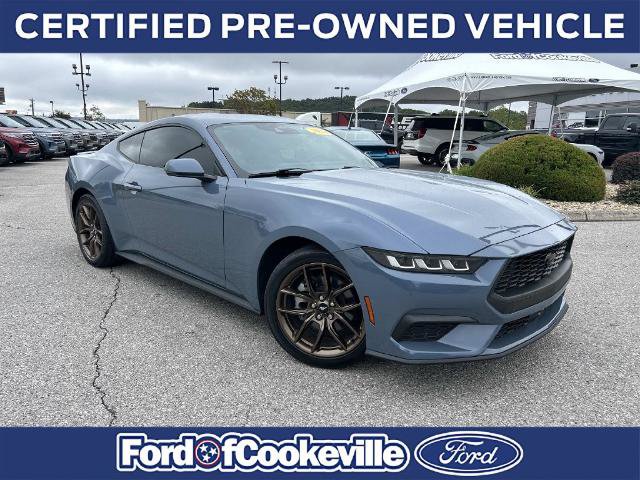 Certified 2024 Ford Mustang Premium