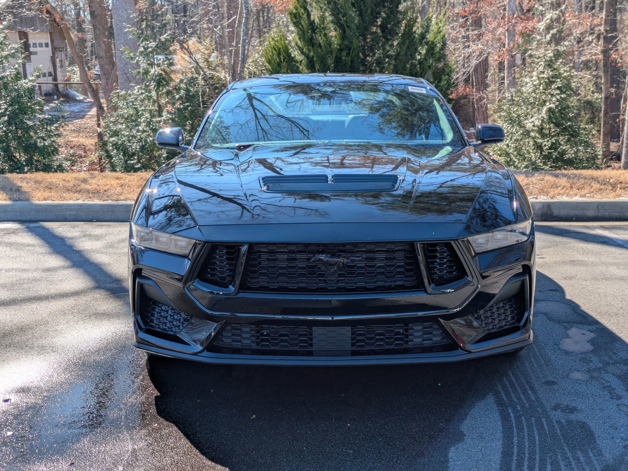 Certified 2025 Ford Mustang GT w/ Mustang Nite Pony Package image 7