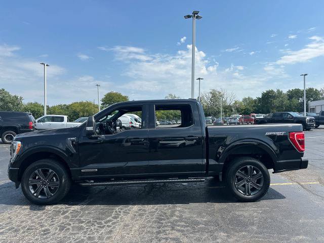 Certified 2023 Ford F150 XLT w/ Equipment Group 302A High AWD/4WD image 5