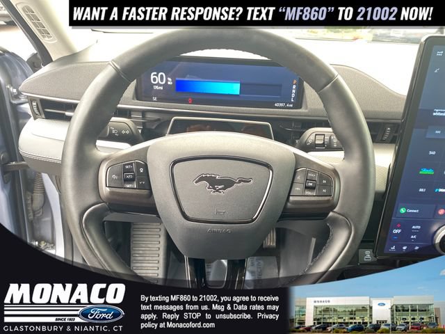 Certified 2022 Ford Mustang Mach-E California Route 1 RWD image 19