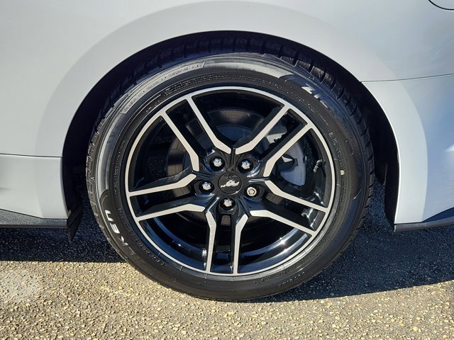 Certified 2019 Ford Mustang Convertible w/ Equipment Group 101A image 9