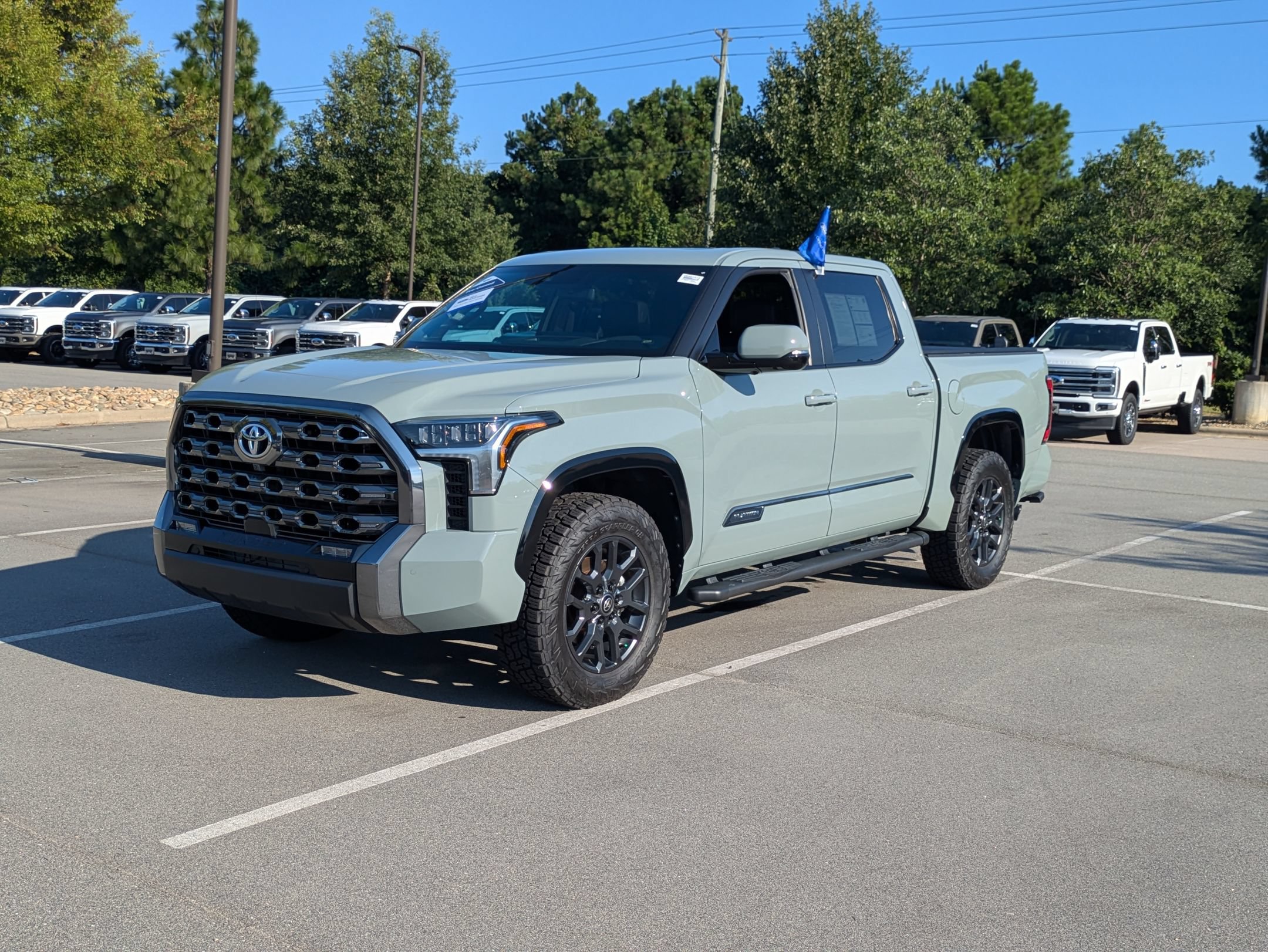 Used 2025 Toyota Tundra Platinum AWD/4WD image 8