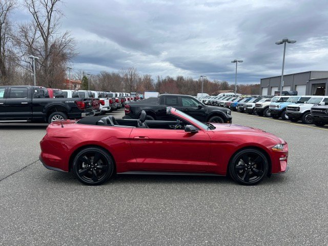 Certified 2023 Ford Mustang Premium w/ Equipment Group 201A RWD image 7