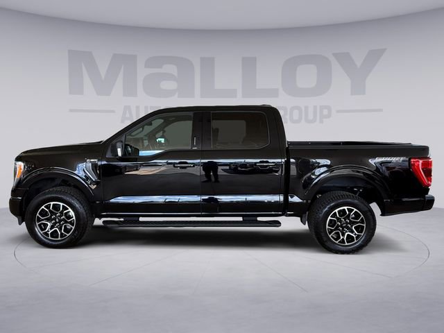 Certified 2023 Ford F150 XLT w/ Equipment Group 302A High AWD/4WD image 2