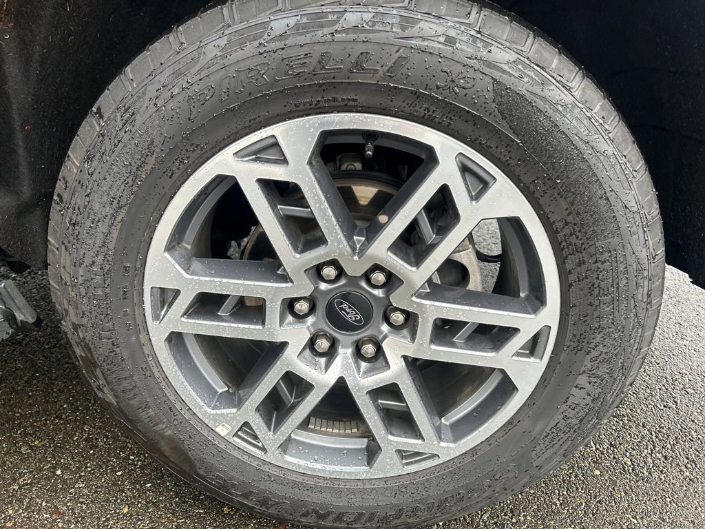 Certified 2025 Ford Expedition Active image 13