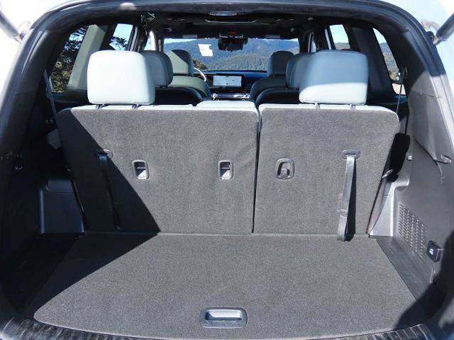 Used 2024 Kia Telluride SX Prestige X-Pro image 33