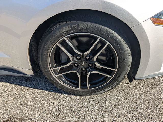 Certified 2019 Ford Mustang GT Premium w/ Ford Safe & Smart Package RWD image 11