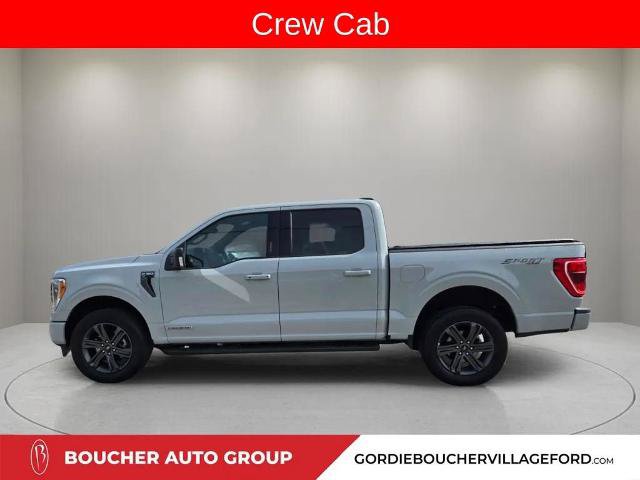 Certified 2023 Ford F150 XLT w/ Equipment Group 302A High AWD/4WD image 4
