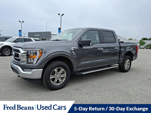 Certified 2023 Ford F150 XLT w/ Equipment Group 302A High image 5
