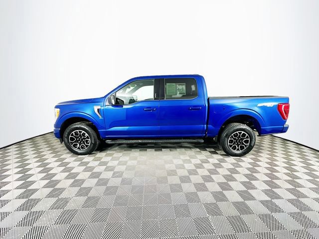 Certified 2023 Ford F150 XLT w/ Equipment Group 302A High image 2