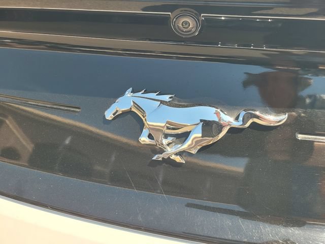 Certified 2020 Ford Mustang Premium RWD image 7