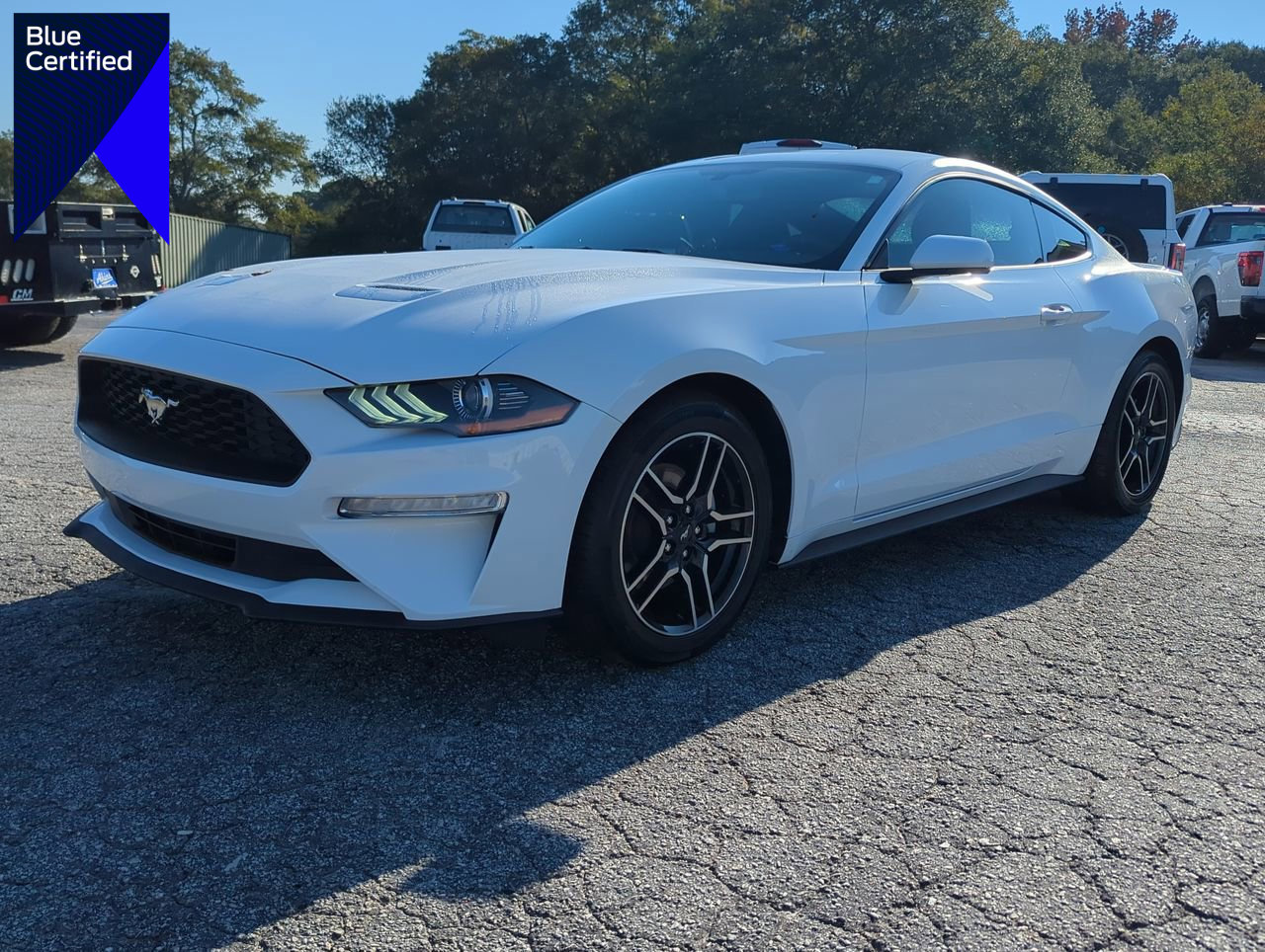 Certified 2019 Ford Mustang Coupe w/ Equipment Group 101A