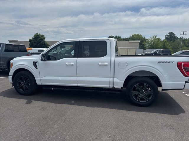 Certified 2023 Ford F150 XLT w/ Equipment Group 302A High RWD image 12