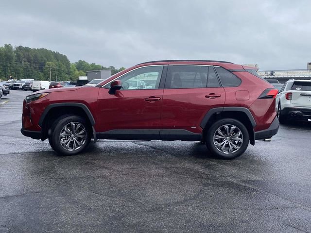 Used 2025 Toyota RAV4 XLE Premium AWD/4WD image 7