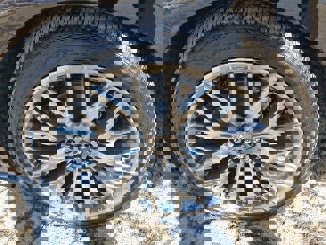 Certified 2024 Ford Mustang Premium image 14