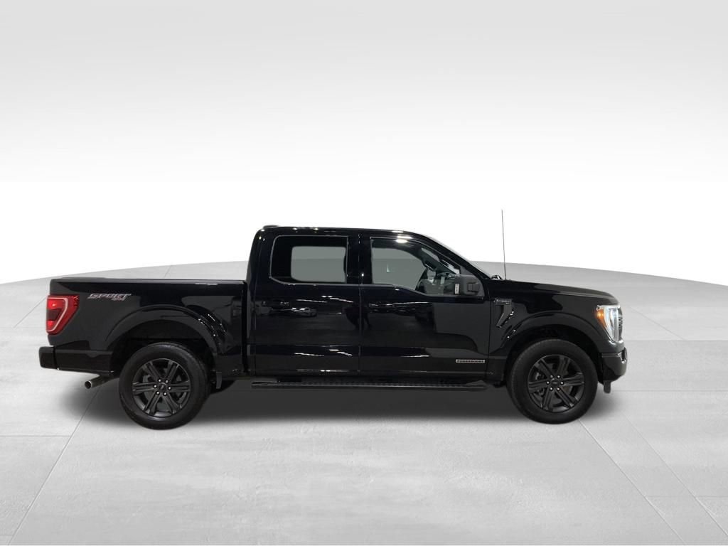 Certified 2023 Ford F150 XLT w/ Equipment Group 302A High image 2