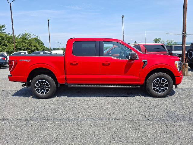 Certified 2023 Ford F150 XLT w/ Equipment Group 302A High AWD/4WD image 7