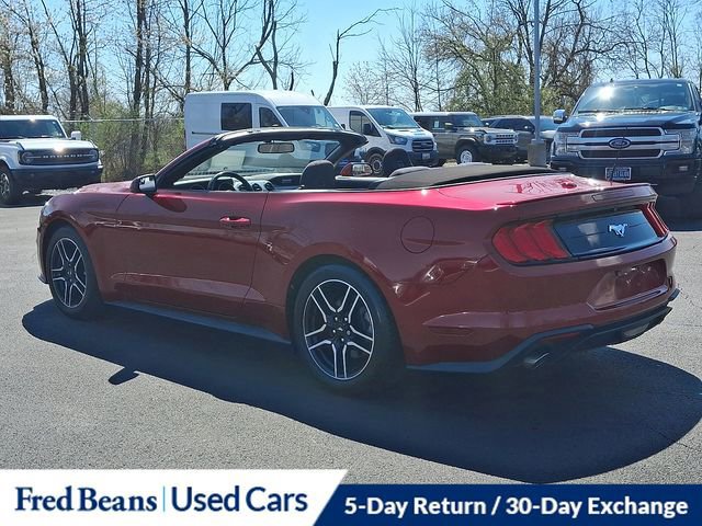 Certified 2019 Ford Mustang Convertible w/ Equipment Group 101A image 4