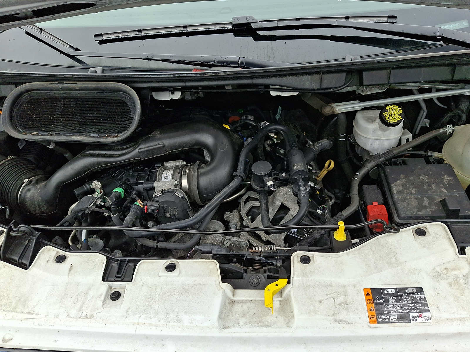 Certified 2025 Ford Transit 350 XLT RWD image 26