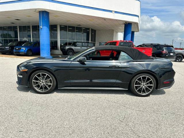 Certified 2019 Ford Mustang Premium w/ Equipment Group 201A RWD video 2