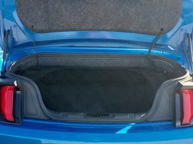 Certified 2021 Ford Mustang Premium RWD image 8