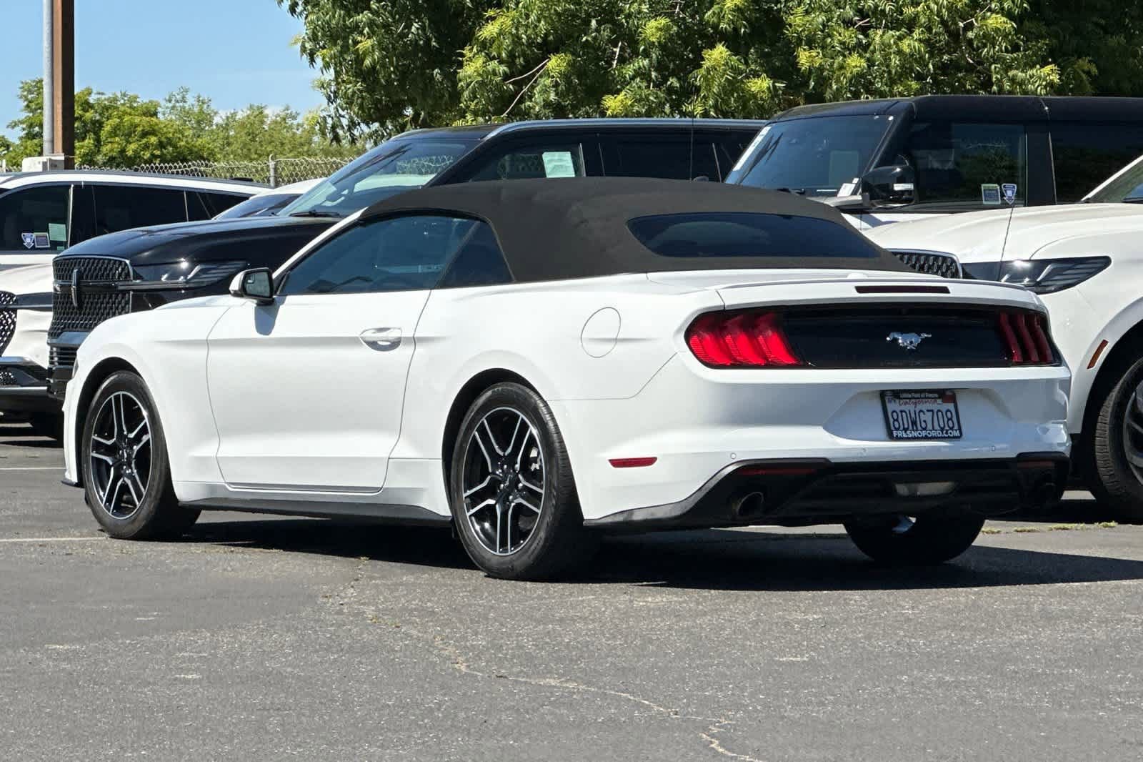 Certified 2018 Ford Mustang Premium w/ Equipment Group 201A RWD image 6