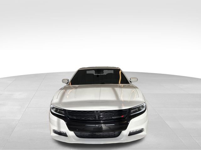 Used 2019 Dodge Charger SXT w/ Driver Confidence Group AWD/4WD image 7