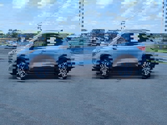 Certified 2022 Ford Escape SEL image 3