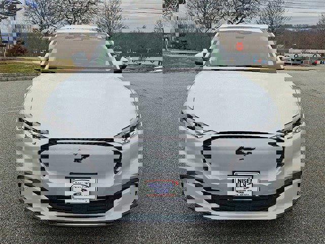 Certified 2021 Ford Mustang Mach-E Select image 14