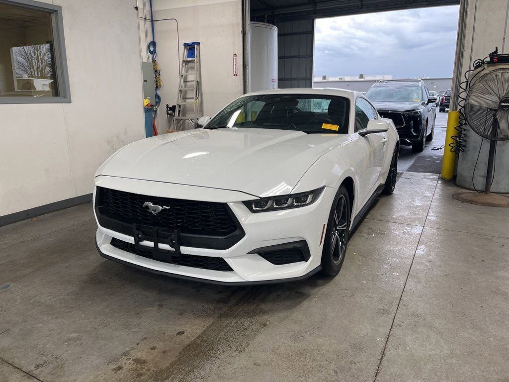 Certified 2024 Ford Mustang EcoBoost image 1