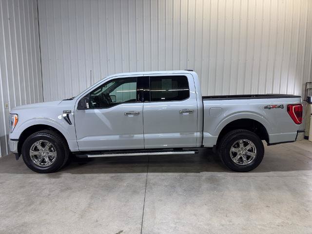 Certified 2023 Ford F150 XLT w/ Equipment Group 302A High AWD/4WD image 6