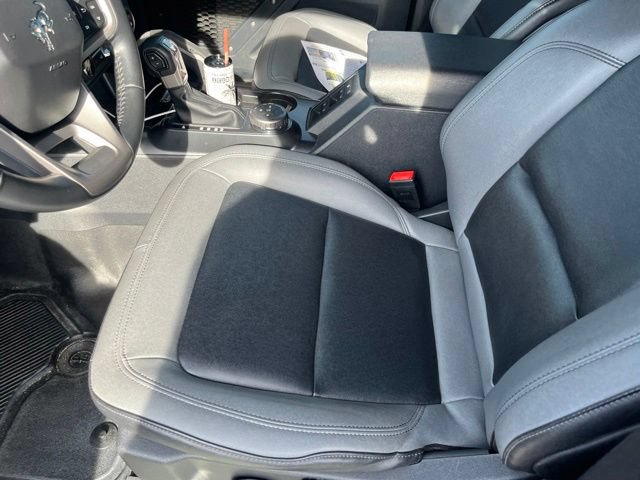Certified 2024 Ford Bronco Big Bend AWD/4WD image 6