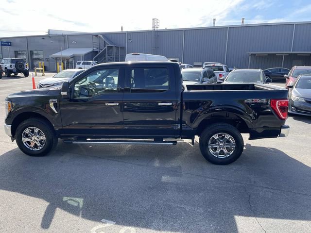 Certified 2023 Ford F150 XLT w/ Equipment Group 302A High image 6