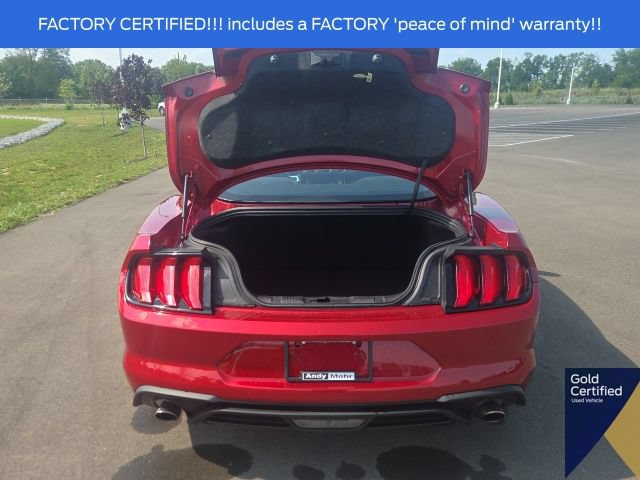 Certified 2023 Ford Mustang Coupe w/ Equipment Group 101A RWD image 12