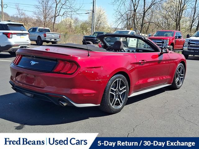 Certified 2019 Ford Mustang Convertible w/ Equipment Group 101A image 8