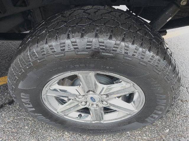 Certified 2025 Ford F150 XLT w/ Equipment Group 301A Standard AWD/4WD image 13