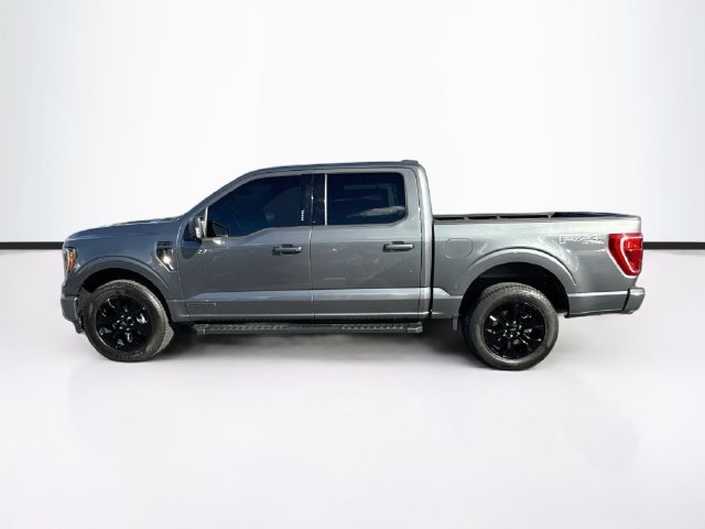 Certified 2023 Ford F150 XLT w/ Equipment Group 302A High AWD/4WD image 6