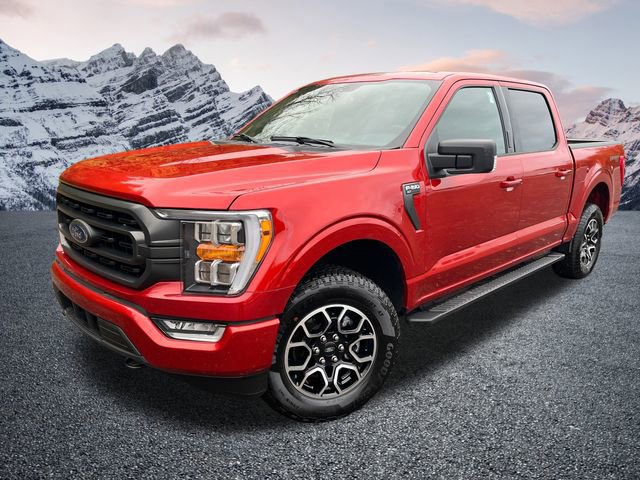 Certified 2023 Ford F150 XLT w/ Equipment Group 302A High image 8