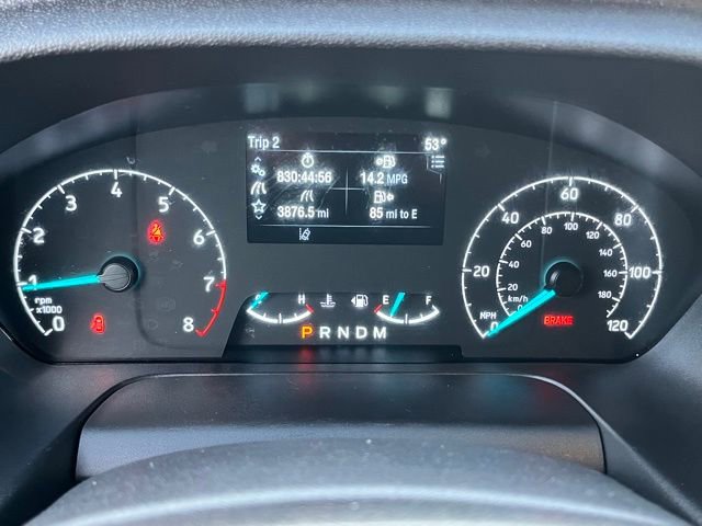 Certified 2025 Ford Transit 250 Low Roof w/ Exterior Upgrade Package RWD image 27
