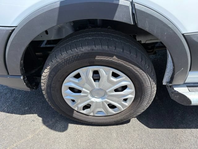 Certified 2025 Ford Transit 250 Low Roof w/ Exterior Upgrade Package RWD image 12