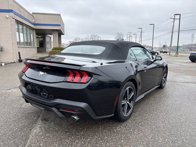 Certified 2024 Ford Mustang Premium image 9
