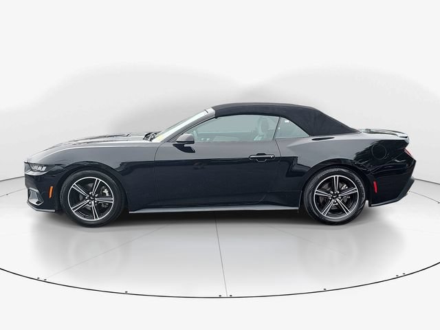 Certified 2024 Ford Mustang Premium RWD image 8