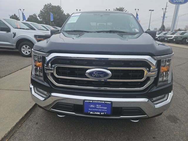 Certified 2021 Ford F150 XLT w/ Equipment Group 302A High image 7